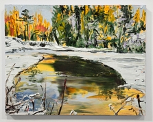 Snowy Pond, Rt 22, I