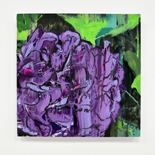 Purple Hydrangea, IV