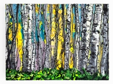 Aspen Woods, II