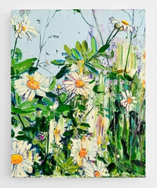 Nippon Daisies