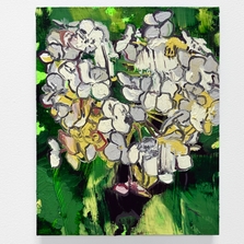 White Hydrangea, IV