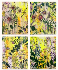 Nigella and Swamp Locust, I-IV (Four 20 x 16” panels)