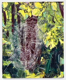 Spiderweb at Schor Woods