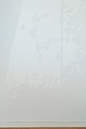 Large East Wall, Southwest Light
