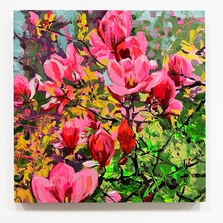 Flower Paintings