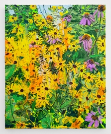 Black Eyed Susans and Echinacea
