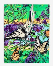 Butterfly Bush with Swallowtails and Monarchs