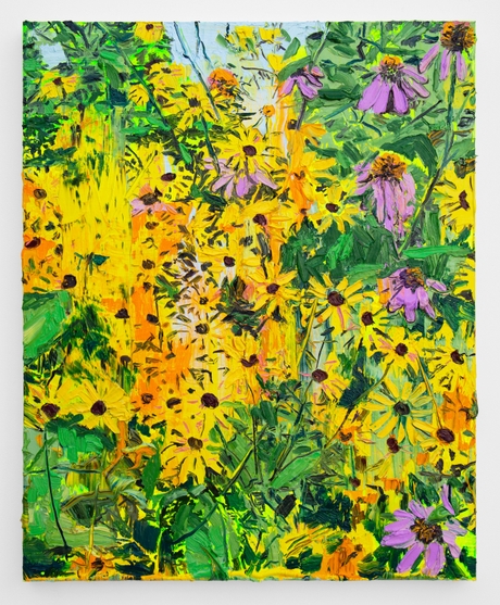 <p>Plants, Animals and Sky</p>