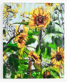 Sunflowers (3 Varieties)