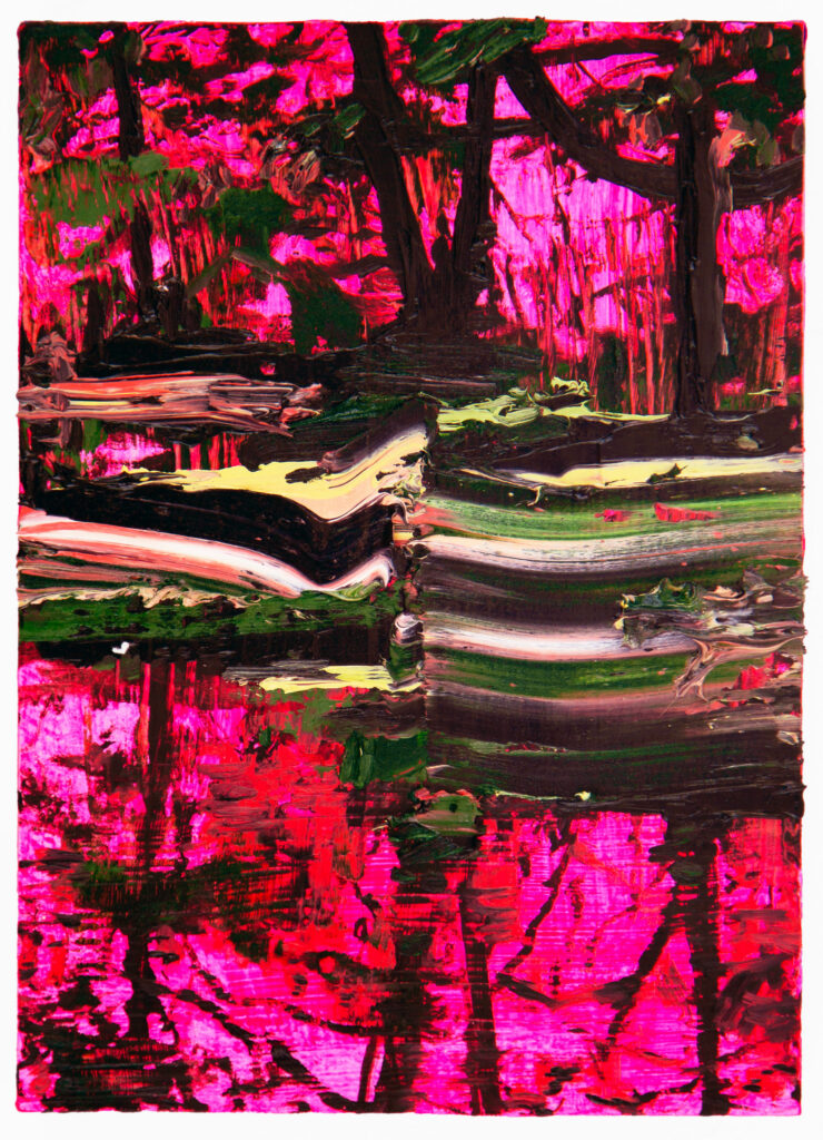 Pink Acadia II