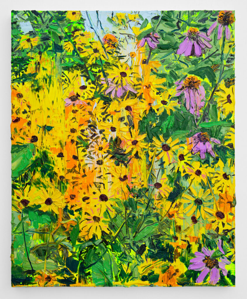 Black Eyed Susans and Echinacea