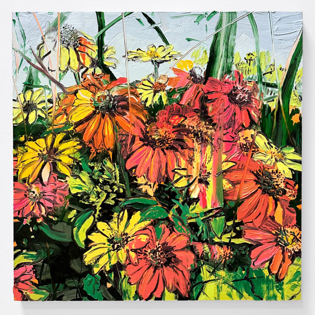 Fall Echinacea