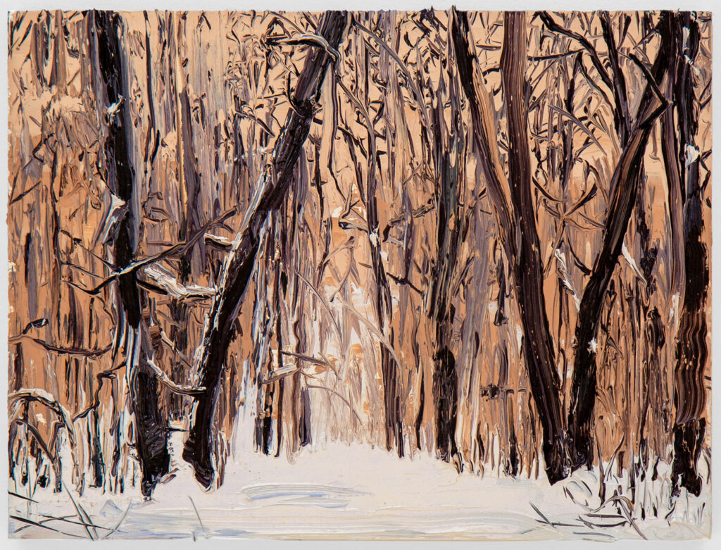 February Snow II