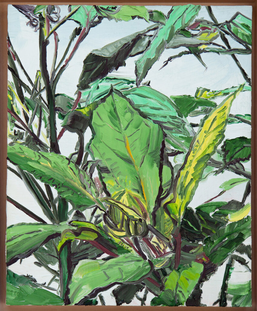 Hibiscus Leaves I