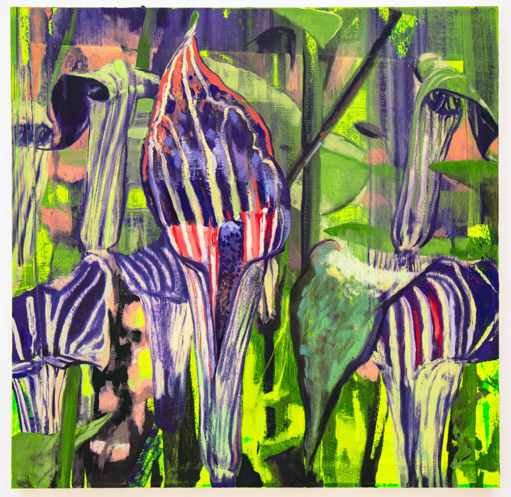 Jack in the Pulpit