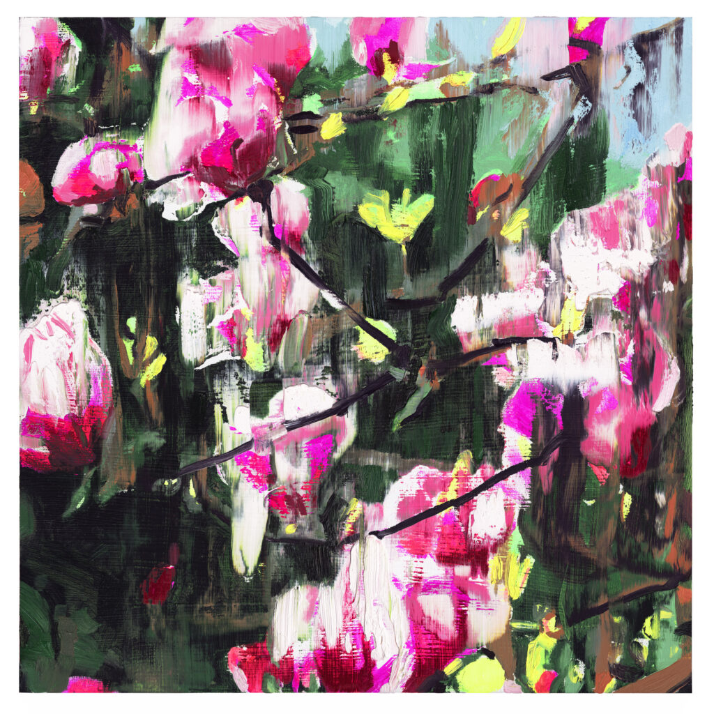 Magnolia