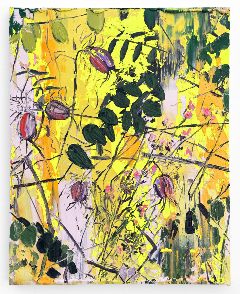 Nigella and Swamp Locust III