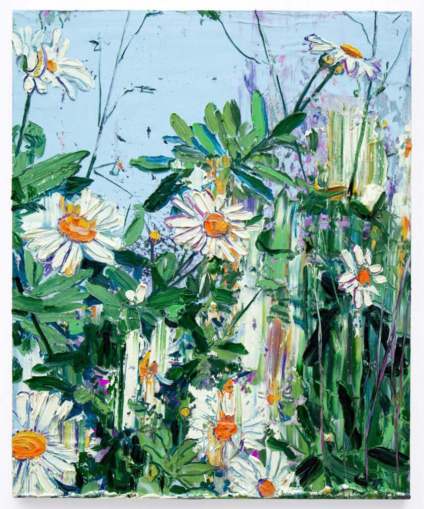Nippon Daisies