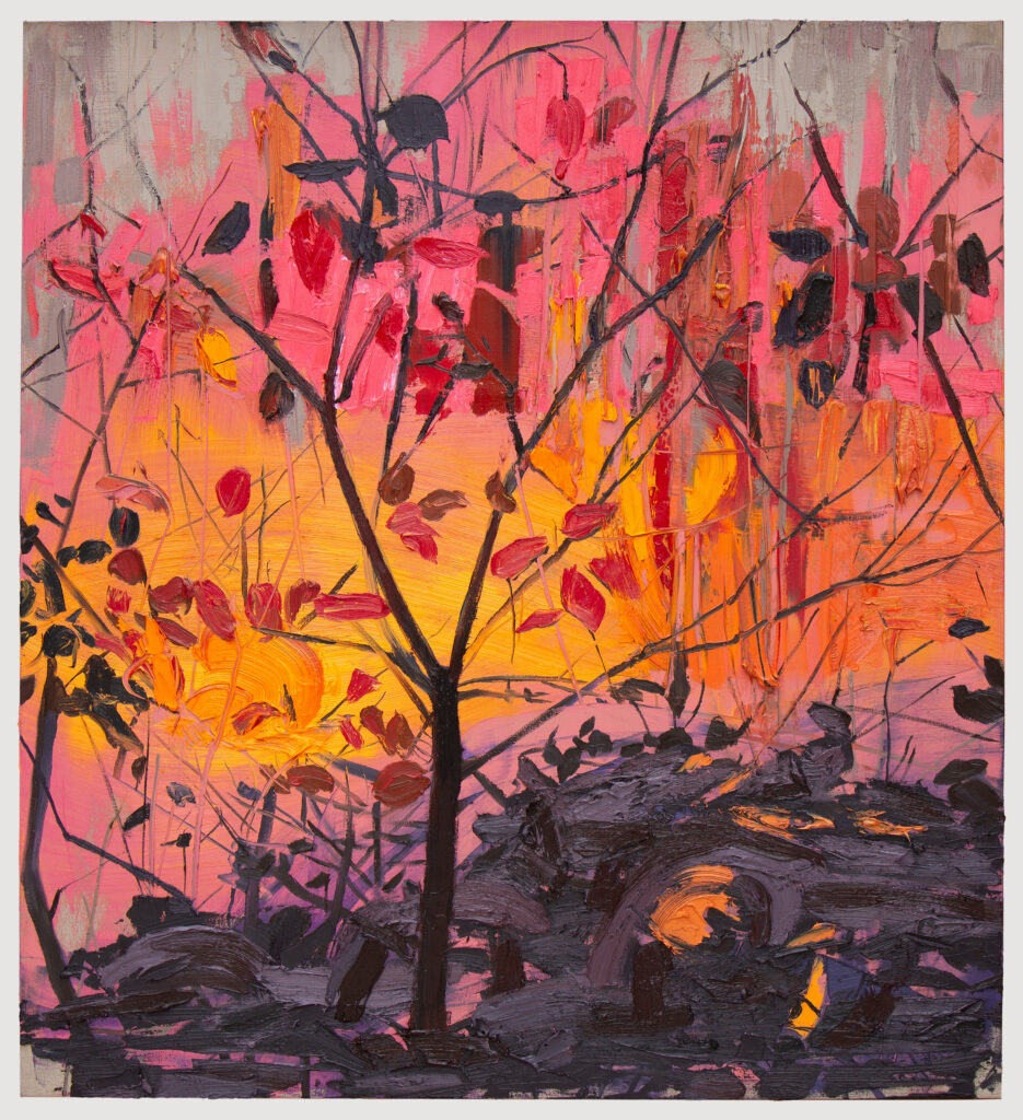 Smoke Tree in December
