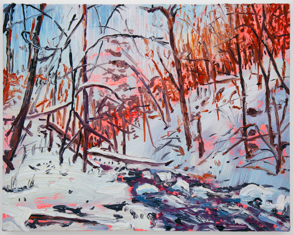 Snow Creek with Fallen Logs