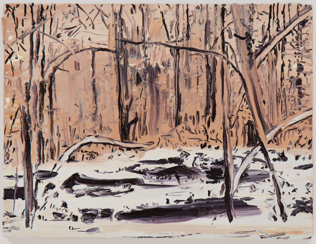 Snowscape February I