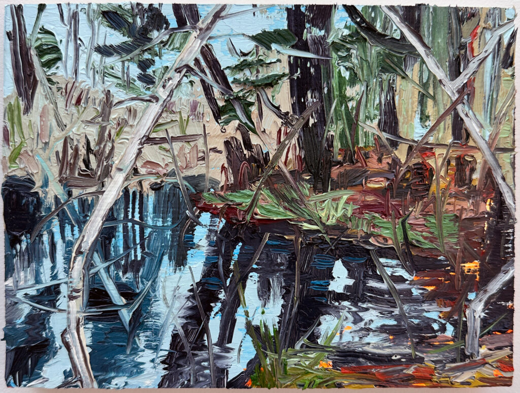 Surf Point Vernal Pool III