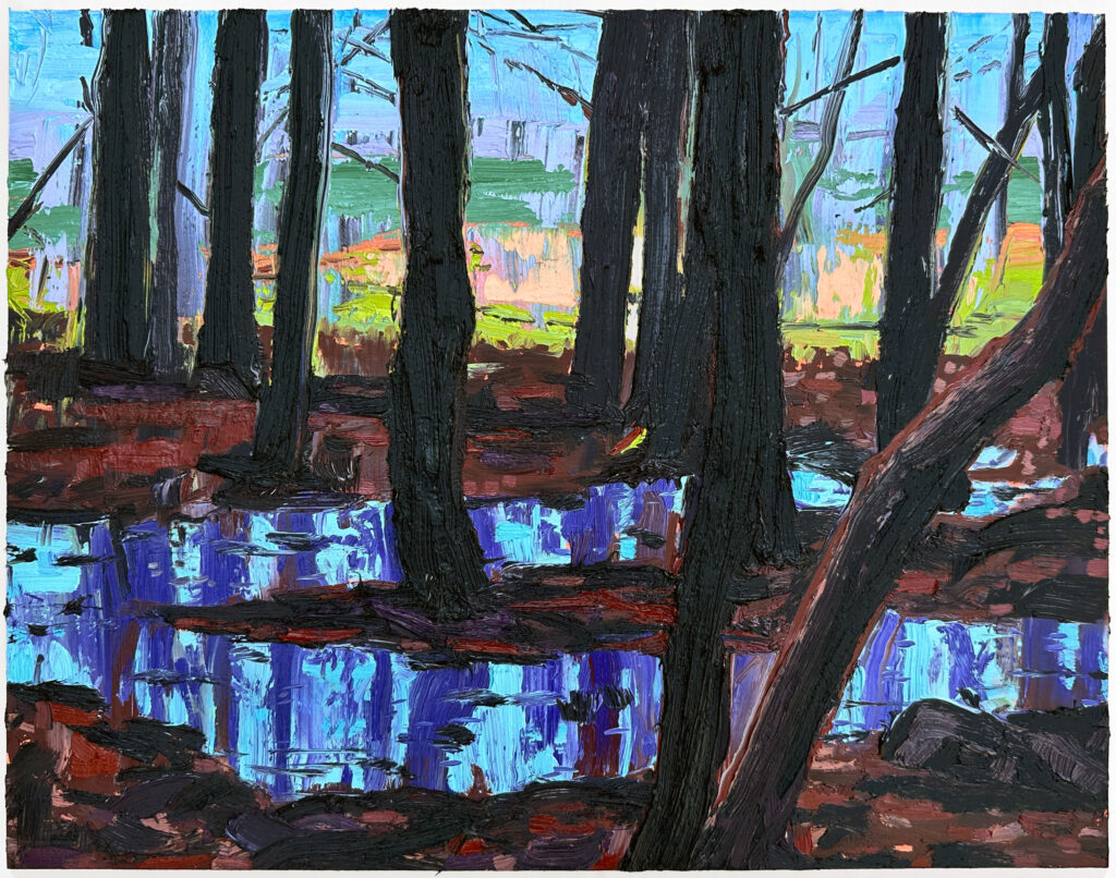 Surf Point Vernal Pool I