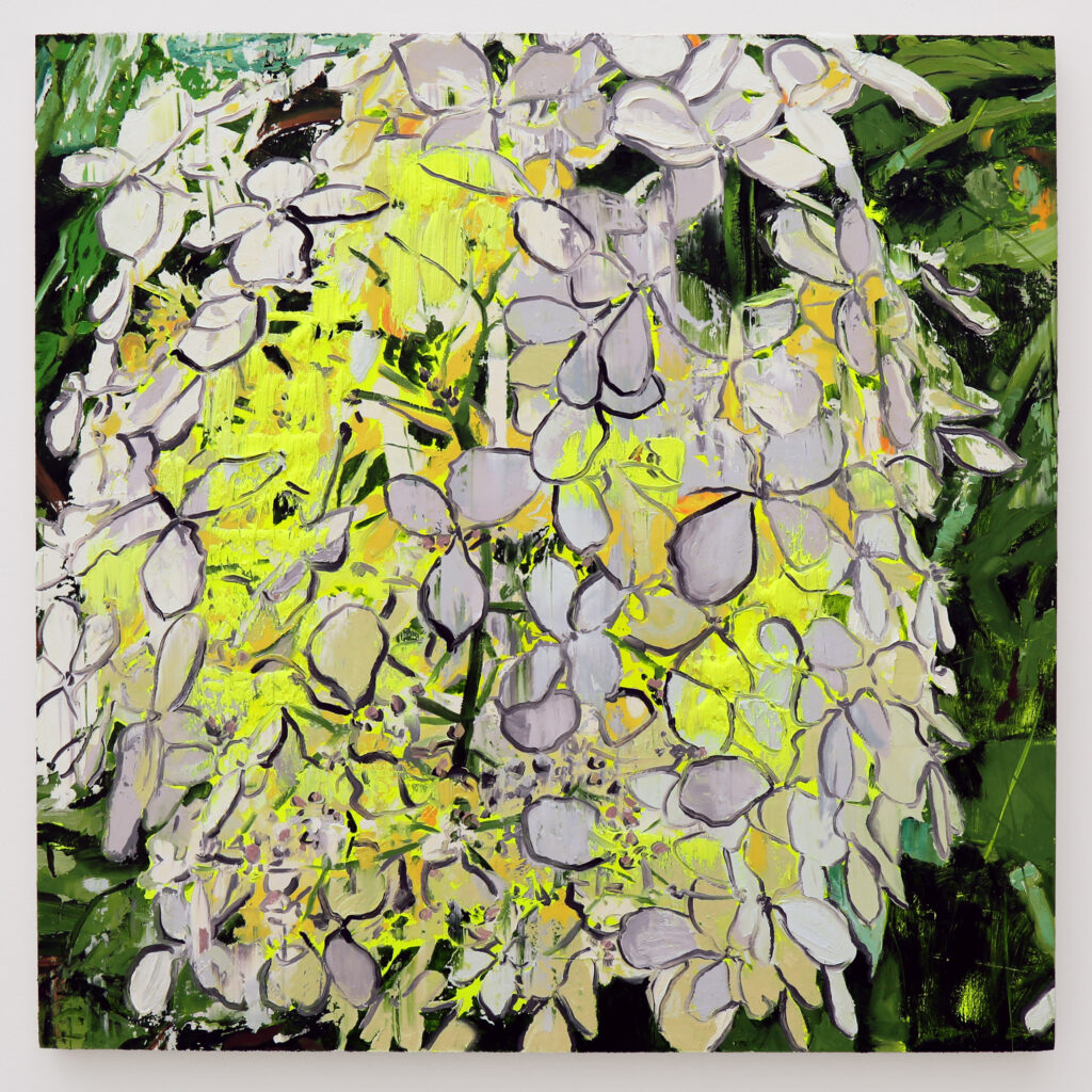 White Hydrangea III
