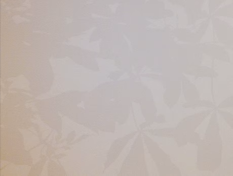 Silences