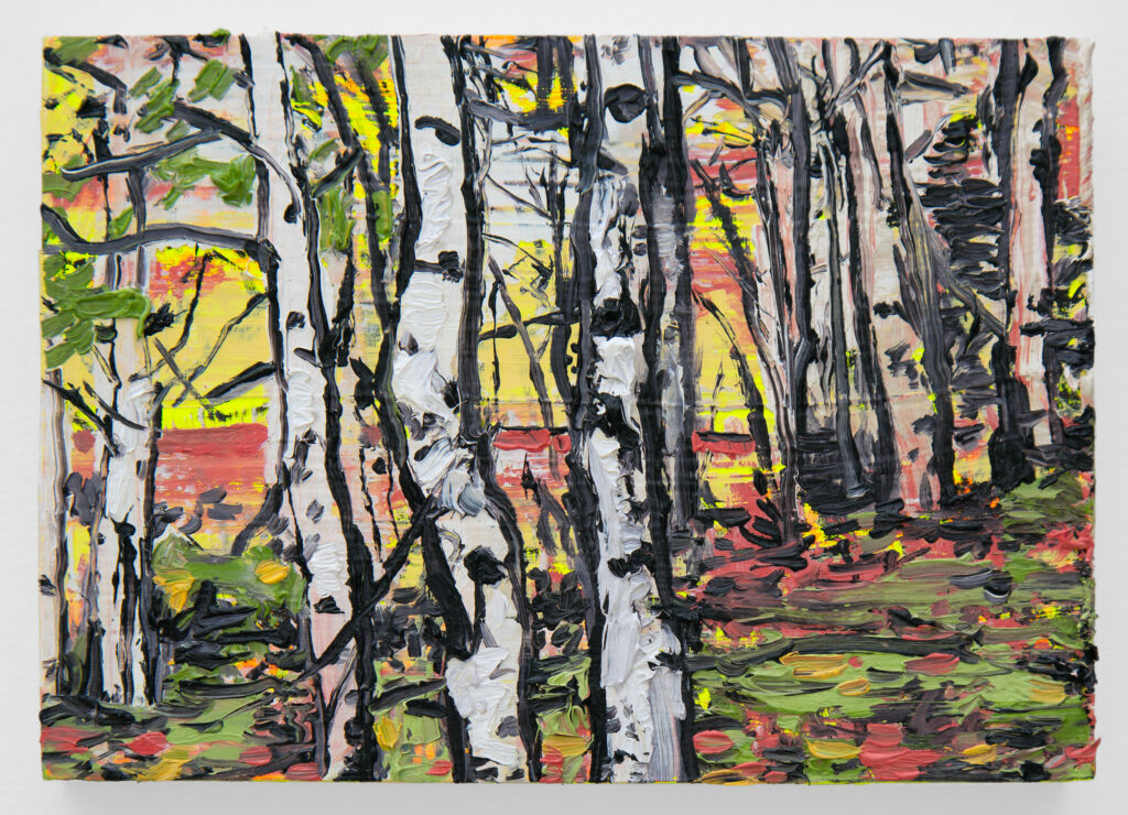 Aspen Woods