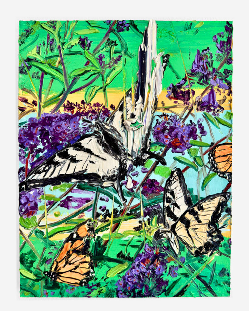 Butterfly Bush with Swallowtails and Monarchs