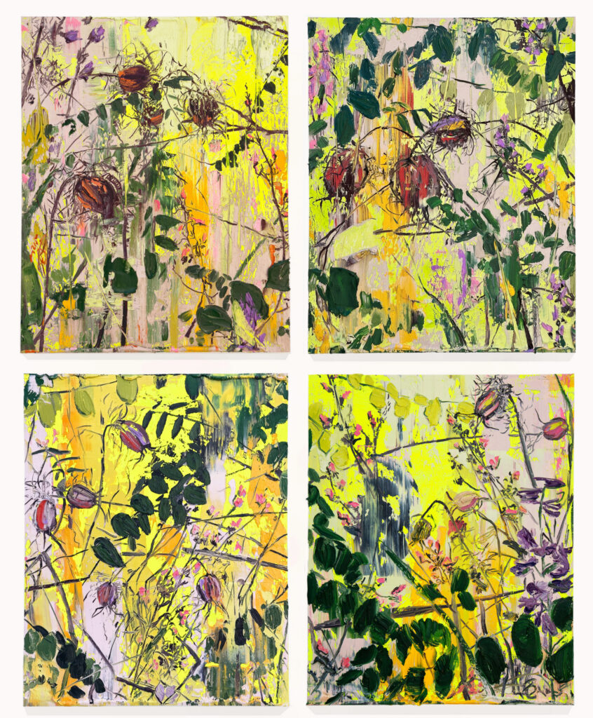 Nigella and Swamp Locust, I-IV (Four 20 x 16” panels)