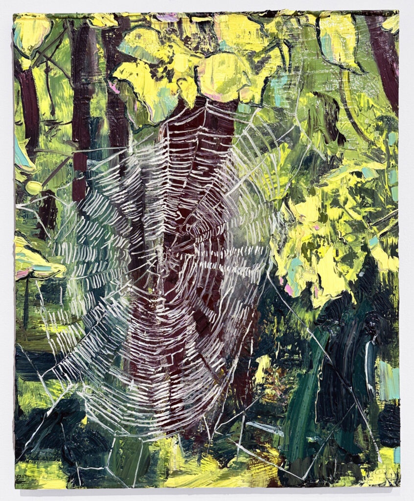 Spiderweb at Schor Woods