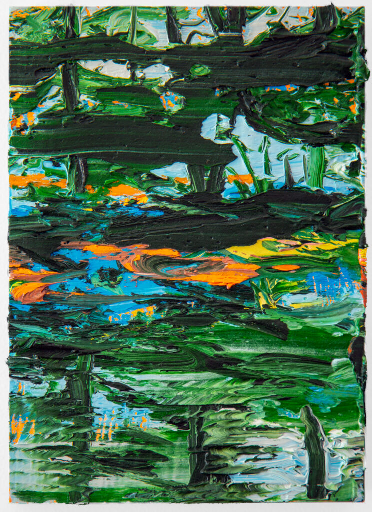 Acadia Beach with Pines II