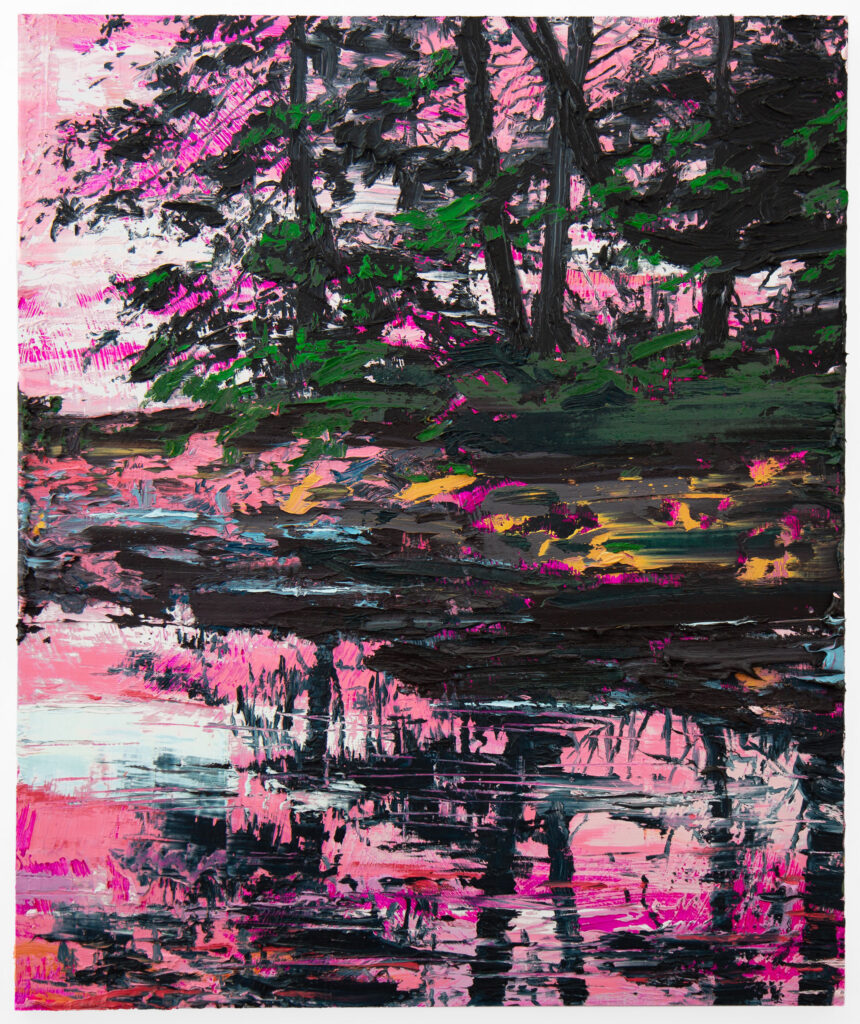 Pink Acadia with Pines