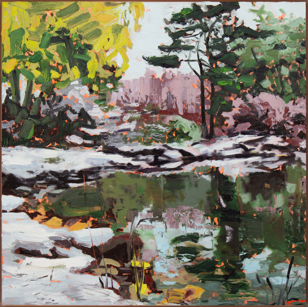 Pond in Early Snow