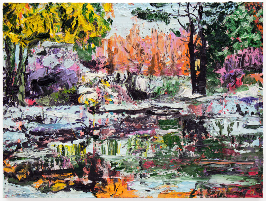 Pond with Early Snow