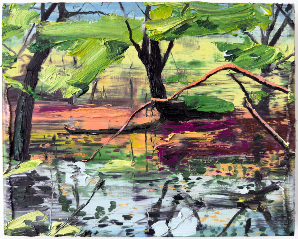 Rainbow Pond I