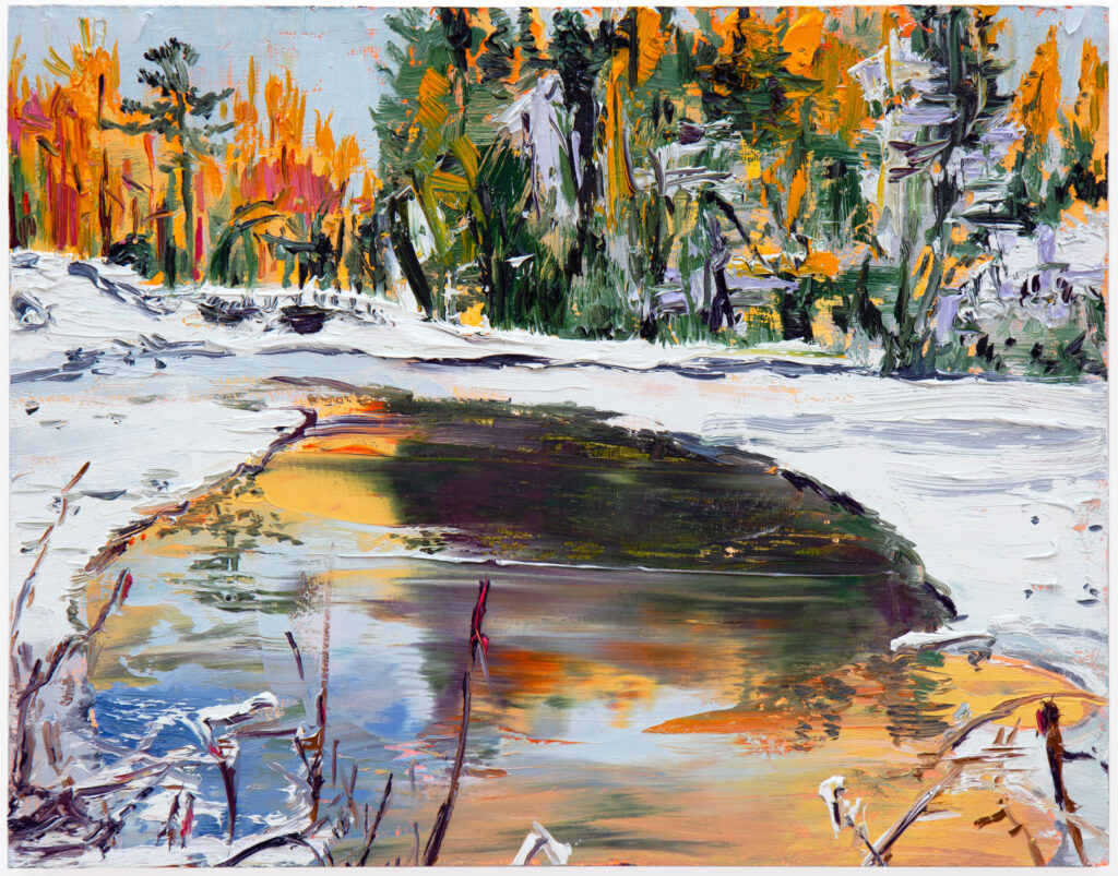 Snowy Pond Rt. 22 I