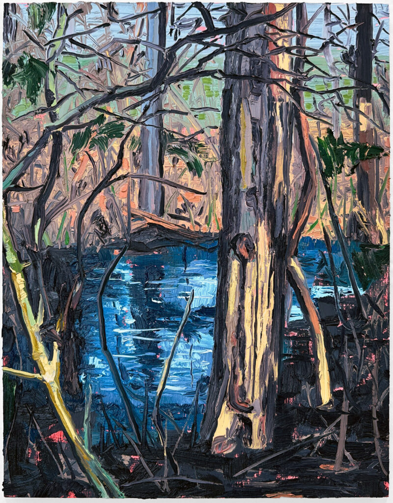 Surf Point Vernal Pool II