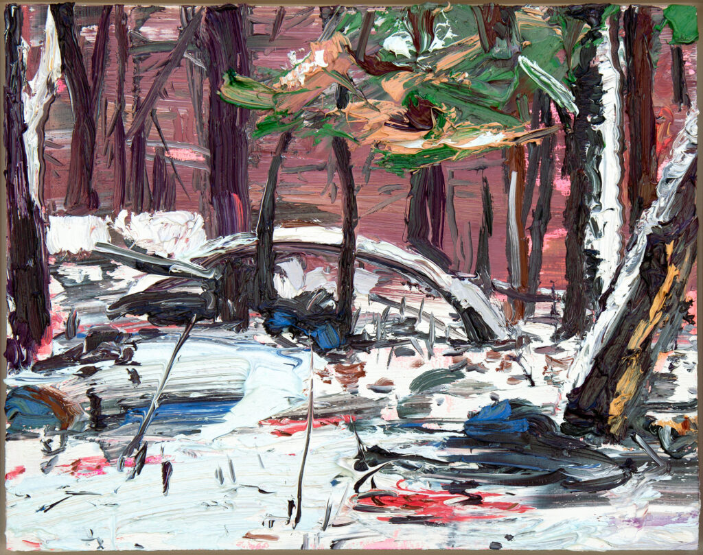 Thanksgiving Snowfall IV