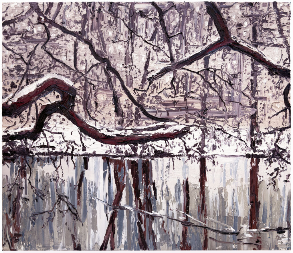 Winter Pond