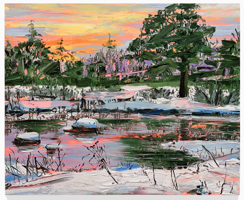 Winter Pond at Three Rocks