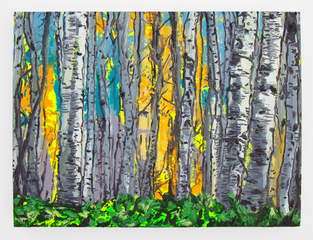 Aspen Woods II