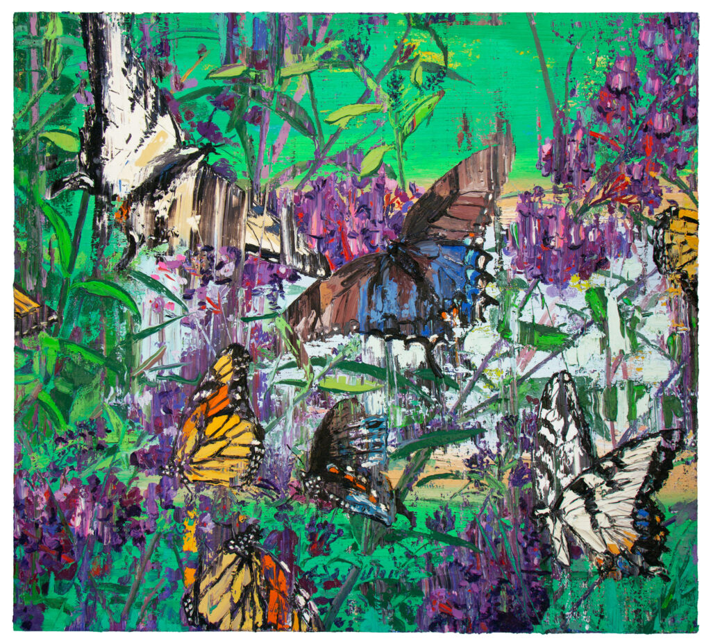 Butterfly Bush