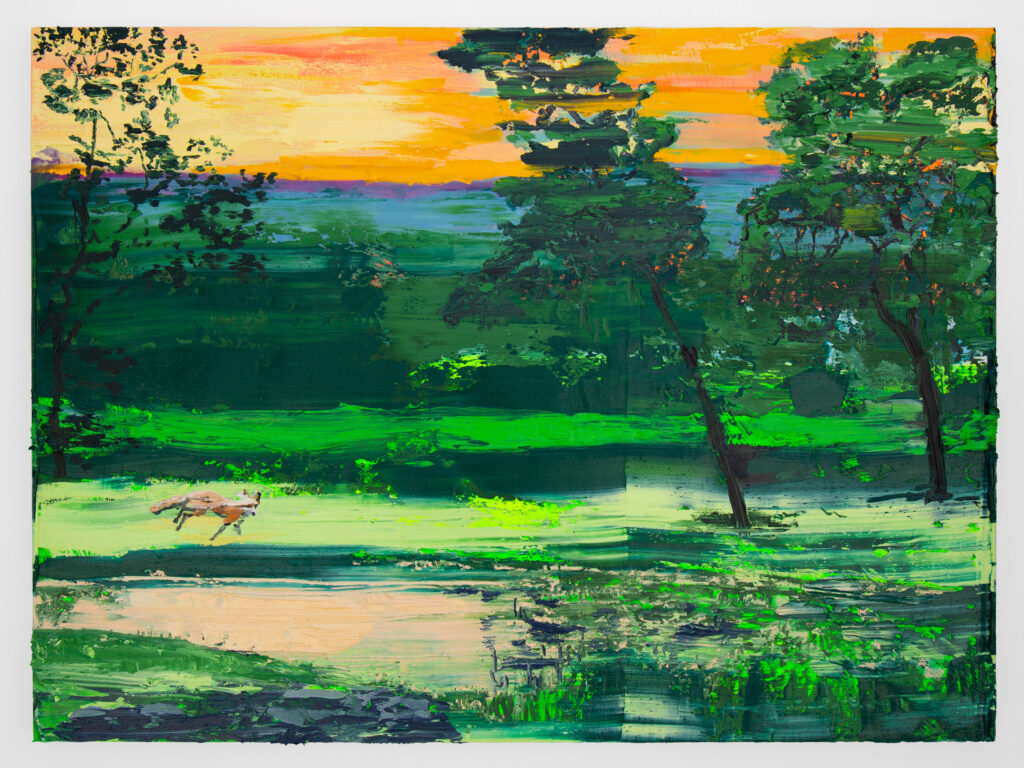 Fox at Crow Hill Sunrise